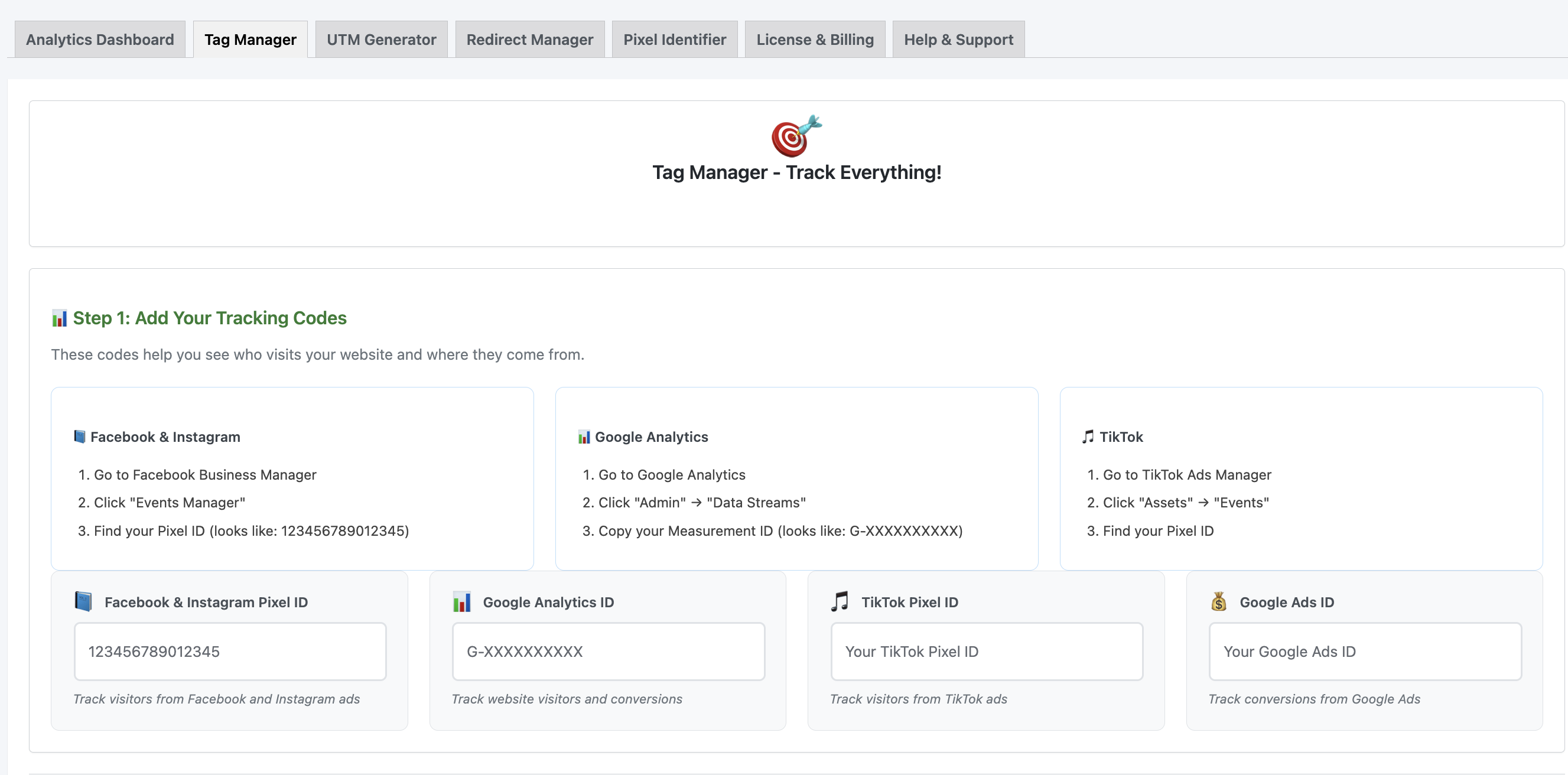 Tag Manager Interface